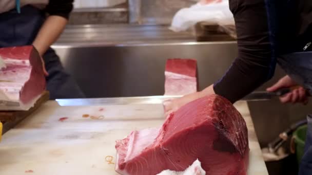 Tsukiji pazarındaki yüksek kaliteli çiğ ton balığının kapağını kapatın. — Stok video