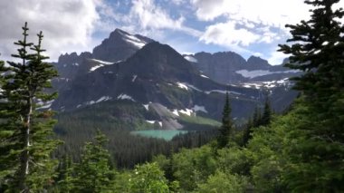 Buzul Ulusal Parkı 'ndaki çam ağaçları çerçeveli Grinnell Gölü Çamı