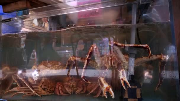 Lebende Krabben in einem Fischbecken auf dem Tsukiji-Fischmarkt — Stockvideo