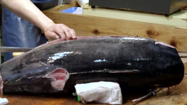 En japansk man skär en hel tonfisk i mindre portioner på tsukiji fiskmarknaden — Stockvideo