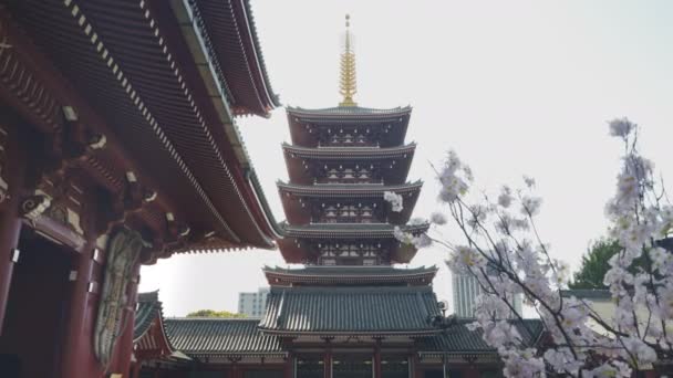 TOKYO, JAPAN - KWIETNIA, 20 KWIETNIA 2018: spojrzenie na historyczną pagodę w sanktuarium senso-ji w Tokio — Wideo stockowe