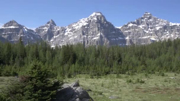 Zooma ut klipp av berg vid lärkdalen i Banff nationalpark — Stockvideo