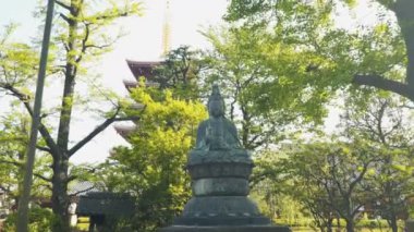 Tokyo 'daki Senso ji Tapınağı' nda Buda heykeline doğru yürüyen çok eksenli bir vibratör.