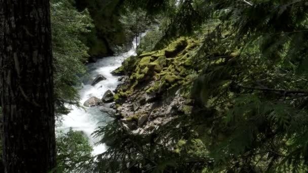 Blick auf die Nordgabelung des Nooksack-Flusses im Nordwesten des Pazifiks — Stockvideo