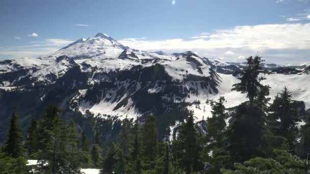 Foto av mt bagare på en sommardag i Washington — Stockvideo