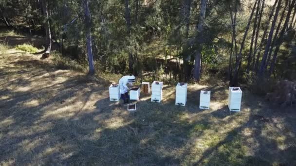 Légi felvétel egy méhészről, aki kaptárakon dolgozik a pöcegödörben. — Stock videók