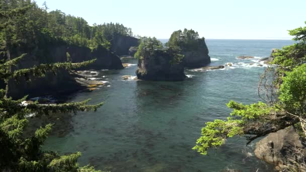 Vista de la mañana de las pilas de mar y la costa en el cabo de adulación en el parque nacional olímpico — Vídeos de Stock