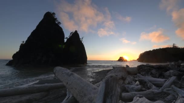 Drijfhout op rialtostrand bij zonsondergang in olympische np — Stockvideo