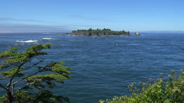 Tatoosh Insel vor Kap Schmeichelei in der olympischen np — Stockvideo