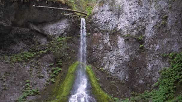 Tilt down clip of marymere falls in the olympic national park of the us pacific northwest — Stock Video