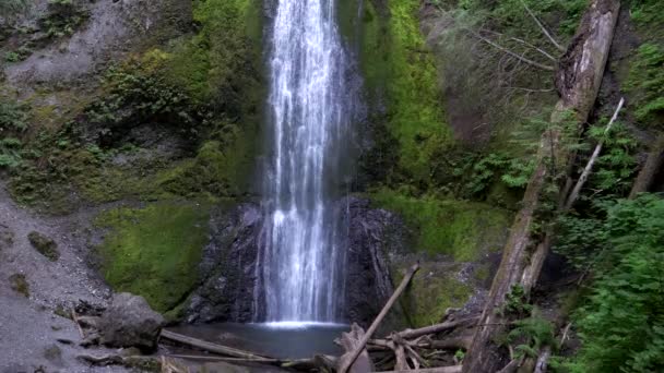 The base of marymere falls in the olympic national park — Stock Video