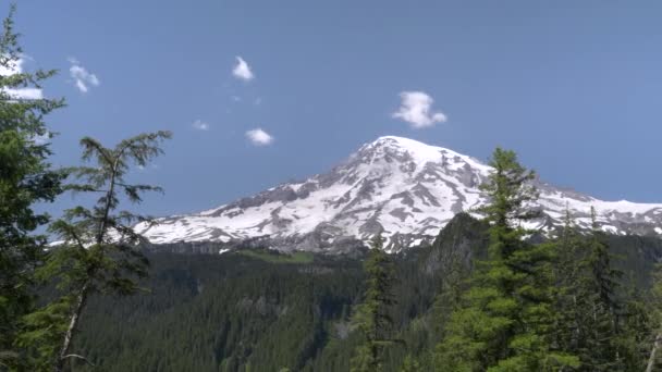 Una toma de la tarde de mt Raininier en Washington State — Vídeos de Stock