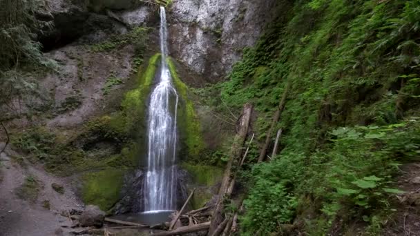 Wide shot of marymere falls at the olympic peninsula — Stock Video