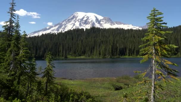 Odpolední pohled na mt rainier a pobřeží u reflexního jezera — Stock video