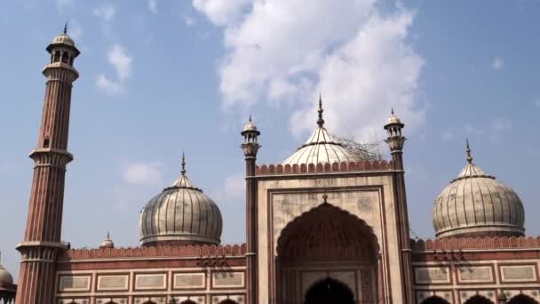 DELHI, INDE - 11 MARS 2019 : un gros plan de la mosquée jama masjid dans la vieille ville de delhi — Video