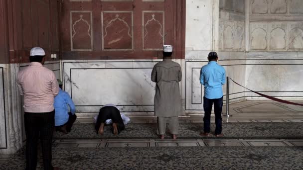 DELHI, INDIA - 11 marca 2019: grupa muzułmanów modli się w meczecie Jama Masjid — Wideo stockowe
