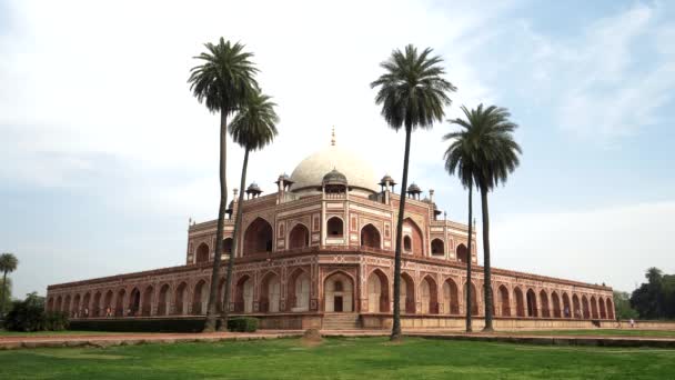 DELHI, INDIA - MARCH 12, 2019: wide view of humayuns tomb and palm trees in delhi — Stock Video