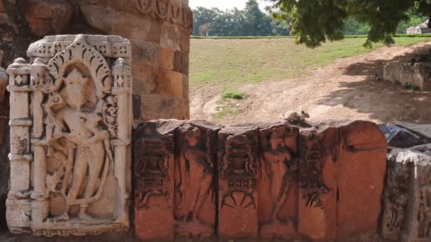 DELHI, INDIA - MÁRCIUS 12, 2019: 4K 60p lövés hindu szobrok között a romok qutub minar komplex — Stock videók