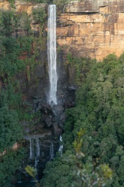 Öğleden sonra çekilen Fitzroy, Morton Ulusal Parkı 'ndaki Jersey Gözcüsü' nden düştü.