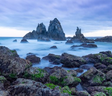 Avusturalya 'nın NSW kıyısındaki Bermagui' nin arka planında deve taşlı yeşil deniz yosunu.