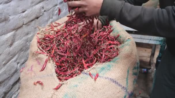 Tiro em câmera lenta de um vendedor verificando chilies vermelhos secos no velho delhi india- 180p — Vídeo de Stock