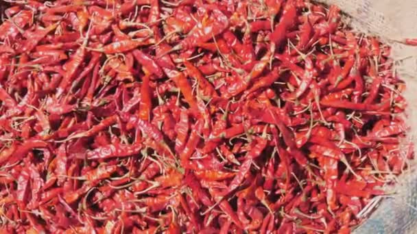 Zoom en la bolsa de chile rojo seco en el mercado de especias de la vieja Delhi — Vídeo de stock
