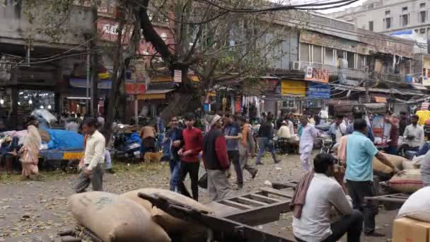 DELHI, INDIA - 14 mars 2019: vidsträckt utsikt över en del av kryddmarknaden i gamla delhi, Indien- 4K 60p — Stockvideo
