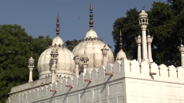 DELHI, INDE - 15 MARS 2019 : dômes blancs d'un bâtiment dans le complexe du fort rouge du vieux delhi — Video