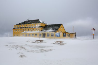 Peack altında