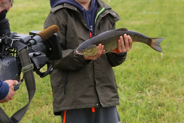 My huge fish — Stock Photo, Image