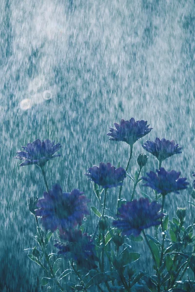 Lluvia muy fuerte — Foto de Stock