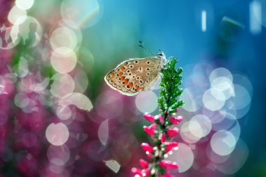 5 düşünmeye zamanı geldi