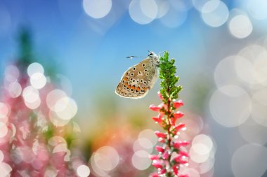 3 düşünmeye zamanı geldi