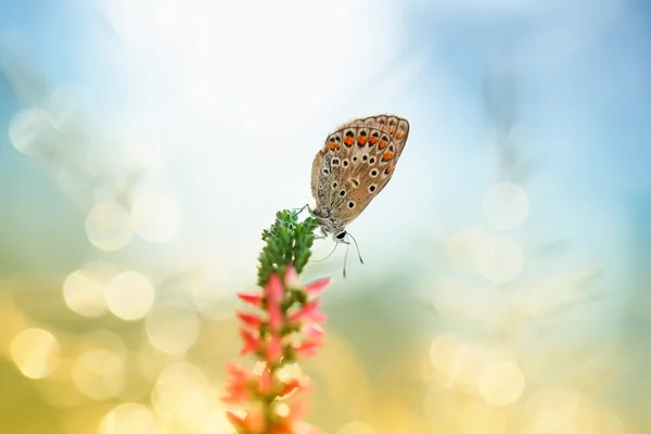 De tijd is gekomen om te denken van 1 — Stockfoto