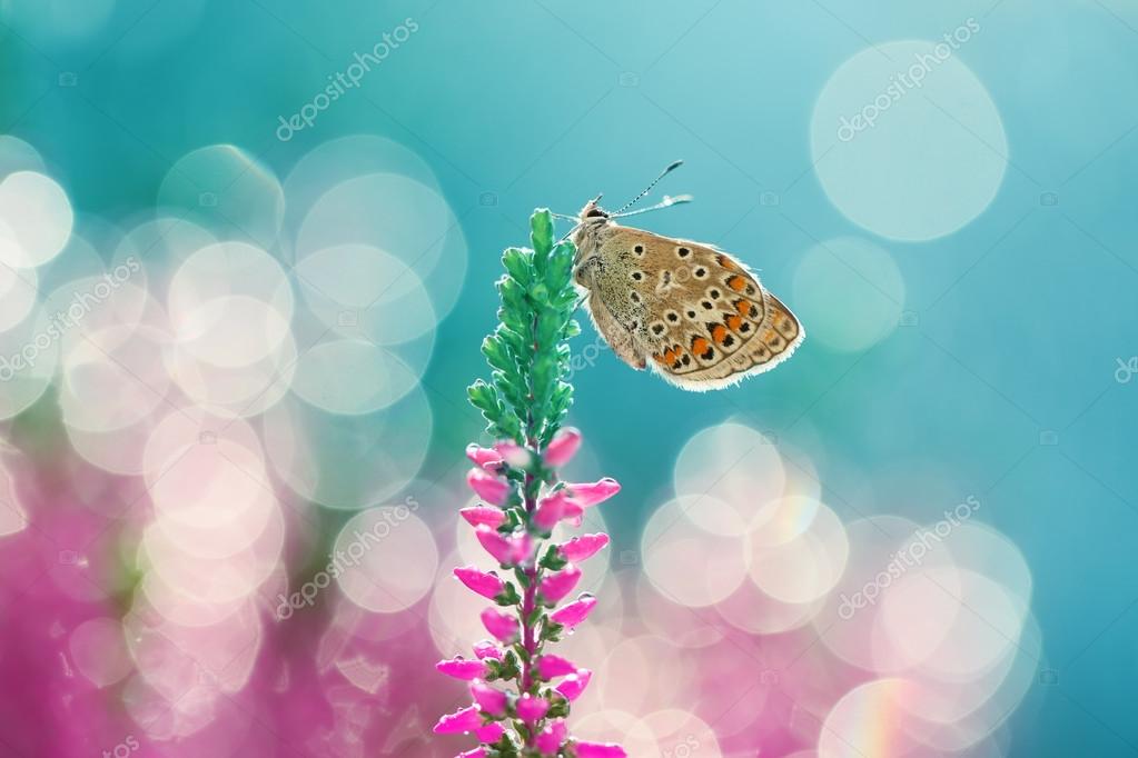 The time has come to think 7 — Stock Photo © KrzysztofWinnik 108817578