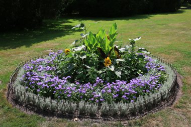 Parktaki renkli çiçekler..