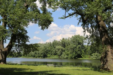 boş bir tezgah Parkı