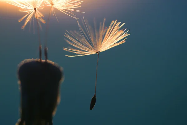 Ahora es el momento de la separación — Foto de Stock