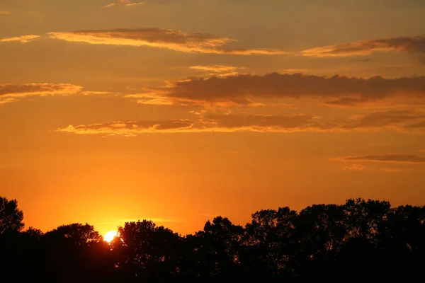 Zachód Słońca Pomarańczowych Kolorach Nad Drzewami — Zdjęcie stockowe