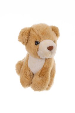 Beyaz arka planda güzel pelüş bir oyuncak. 