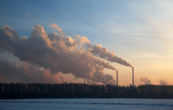 Steam from the factory at sunrise in winter .