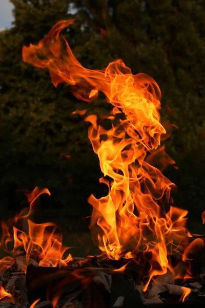 Une Flamme Orange Feu Camp Plein Air — Photo