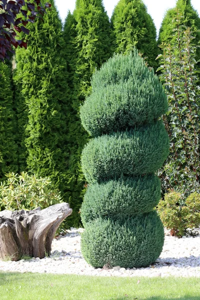 Prachtige Decoraties Het Park Voor Liefhebbers Rechtenvrije Stockfoto's