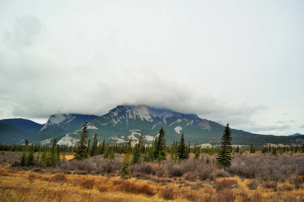Canadese natuur - British Columbia — Stockfoto