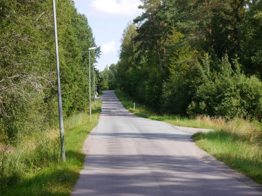 Ormandan geçen bir yol.