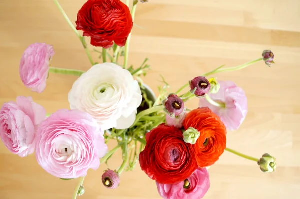 kırmızı ve beyaz çiçekler