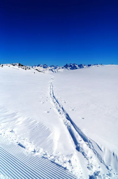 Ski track op de sneeuw — Stockfoto