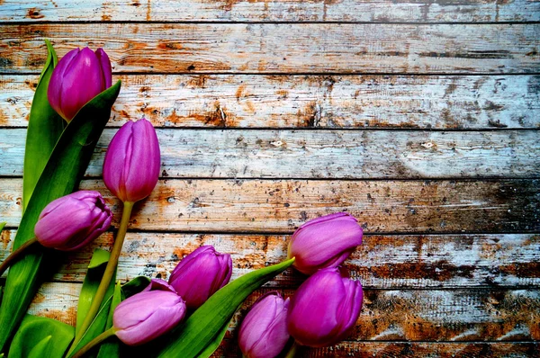 Anneler günü kartpostal