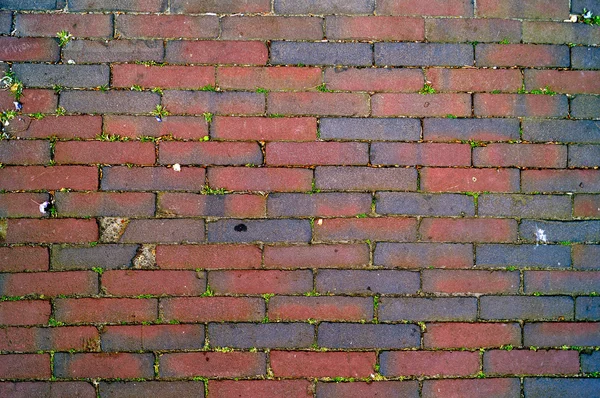 kırmızı tuğla duvar