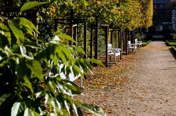 Parktaki beyaz banklar